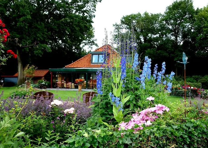 B&B Kamperfoelie